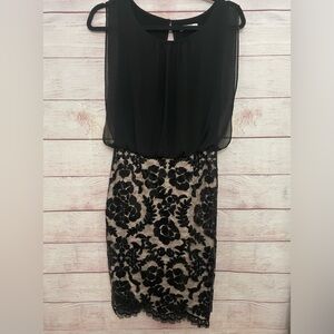 Calvin Klein Black Gold Womens Size 2 Chiffon Sequin Sheath Dress  Pre-owned